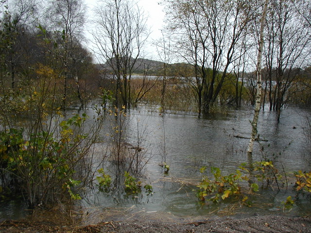 Flom oktober 2008